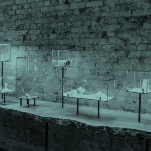 Anniversary Sale